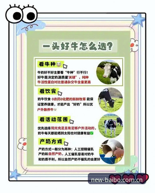 百博体育2026新版对比旧版有哪些变化？新手用户该怎么选？